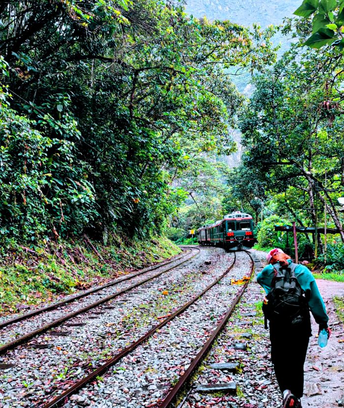 Bus Directo Arequipa - Puno (Mañana)