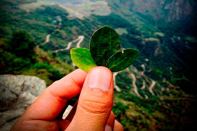 Machu Picchu Bus Tickets